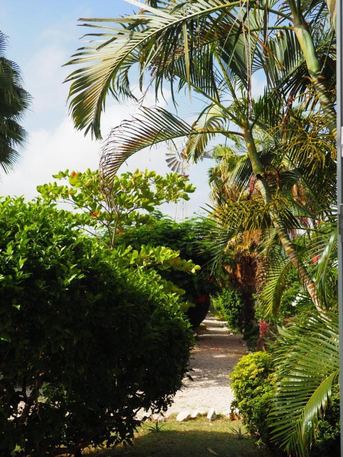 Kas di BaMi op Seru Coral Resort - Ruim appartement met groot zwembad en tropische tuin Willemstad Buitenkant foto