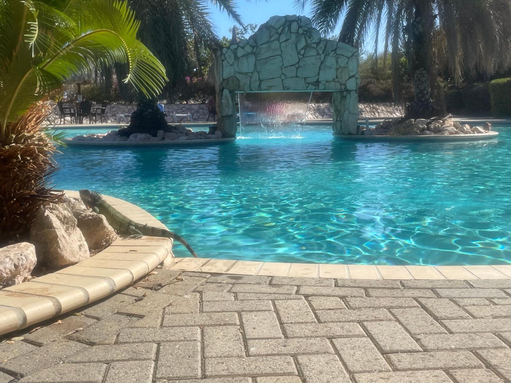 Kas di BaMi op Seru Coral Resort - Ruim appartement met groot zwembad en tropische tuin Willemstad Buitenkant foto